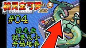 我用8个月养成最大赤甲红，能否击败螃蟹天敌：彩虹螳螂虾？